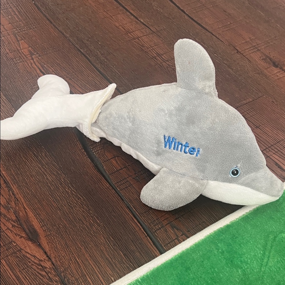 Gray and White stuffed animal Winter from Dolphin Tale